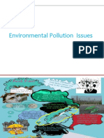 Lec-12-Env. Pollution Issue