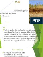 Soil Formation Factors that Shape Our Earth