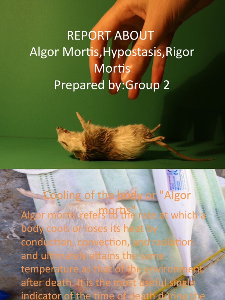 Postmortem Changes: Algor, Rigor, Hypostasis | PDF