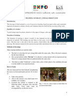 Technical Training of Draft Animals Sheet Line