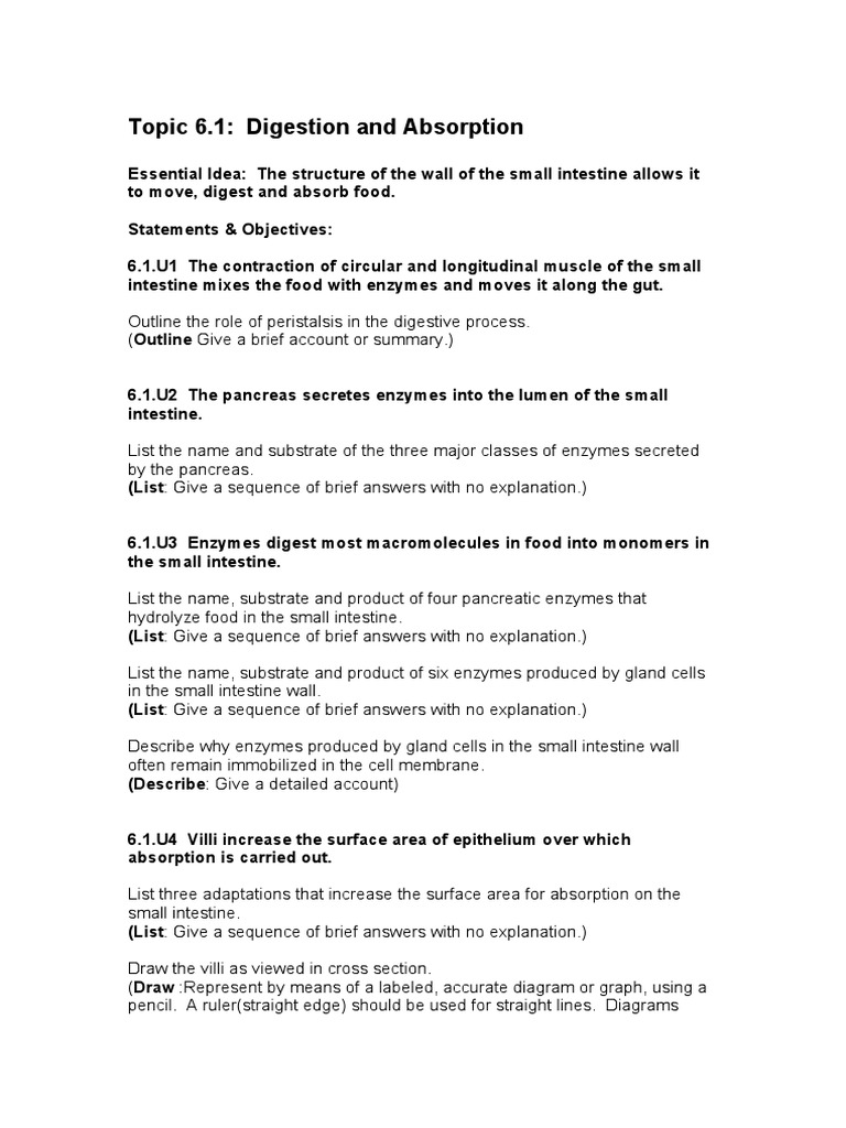 Topic 6.1: Digestion and Absorption | PDF | Digestion | Small Intestine