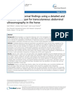 Evaluation of normal findings using a detailed and focused technique for transcutaneous abdominal ultrasonography in the horse