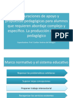 El PPI Como Instrumento de Acompañamiento, Apoyo y Evaluación de Los Alumnos Incluidos en La Escuela