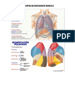 Clase #1 Radiografia de Toráx