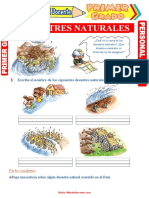 Medidas de seguridad durante desastres naturales