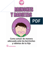 Berrinches y Rabietas (Como Actuar de Manera Adecuada Ante Los Berrinches y Rabietas de Tu Hijo) PDF