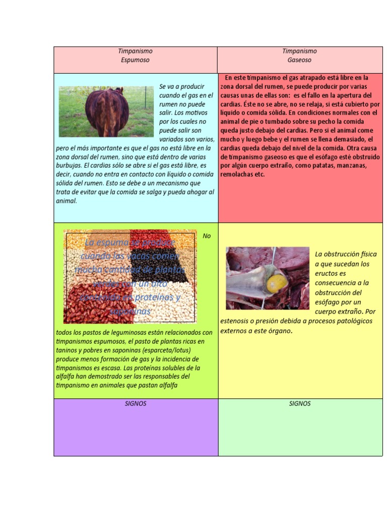 Timpanismo PDF Especialidades Medicas Bienestar