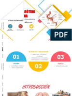 Carotida Interna