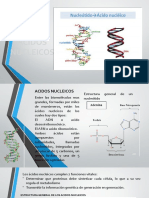 Acidos Nucleicos