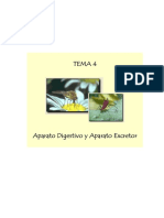 Tema 4. Aparato Digestivo y Aparato Excretor