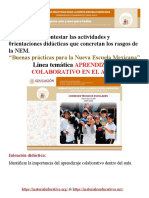 FormatoAprendizajeColaborativoEnElAulaMEX (1)