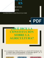 Què Dice La Constituciòn Sobre La Agricultura