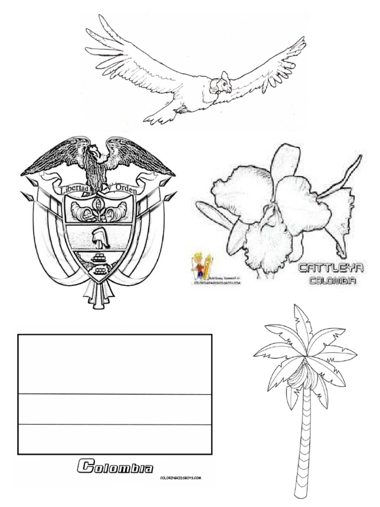 Detalle 36+ imagen dibujos símbolos patrios