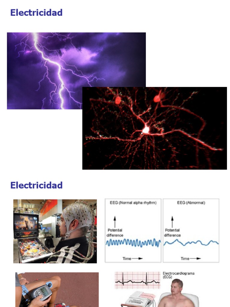 Carga Electrica y Campo Electrico PDF Dipole Electric Field