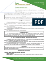 10-cultivo-do-abacaxi-em-consorcios.pdf