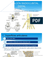 Articulacinradiocubitaldistal 140118164336 Phpapp01