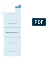 Cuadro Temas y Subtemas - Psicosociales - Retorno