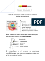 El Metabolismo Celular