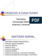 Induccion anatomia