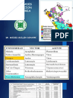 Emergentes y Reemergentes Peru - 1 PDF