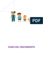 Fases Del Crecimiento