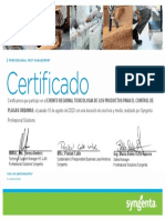 Certificado de Participacio N