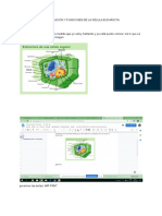 Imagenes PDF