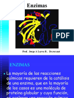 Presentacion Enzimas-1 PDF