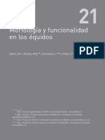 Morfología y Funcionalidad en Los Équidos: Valera, M. Gómez, M.D. Cervantes, I. y Peña, F.