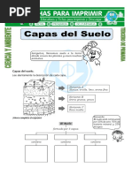 Tipos de Suelo para Niños de Primaria | PDF | Suelo | Ciencias de la Tierra