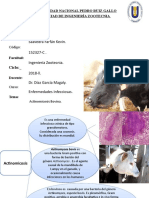 Actinomicosis Bovis