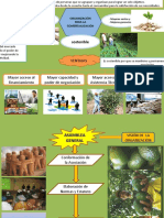 Visualizacion Org. Comercialización