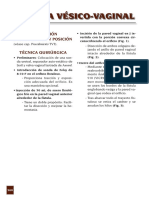 Fistulavesicovaginal PDF