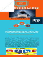 Peligros en La Red PDF