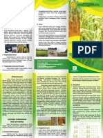 Tumpangsari Padi Dan Jagung PDF