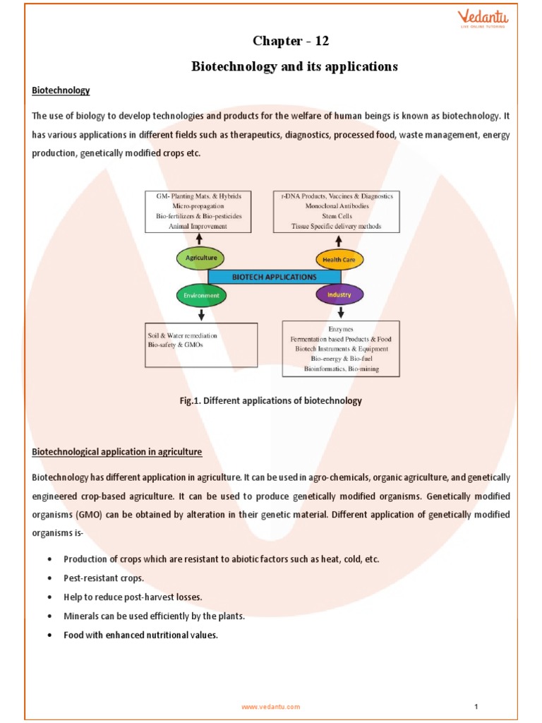 Applications of Biotechnology Explained | PDF | Genetically Modified ...