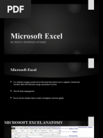 Lesson 7 Microsof Excel