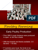 (807182429) 2-Poultry-Farming-needs