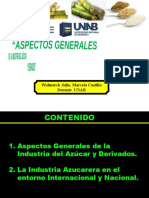 30 TEORÍA-ASPECTOS GENERALES  IND AZUCARERA.pptx