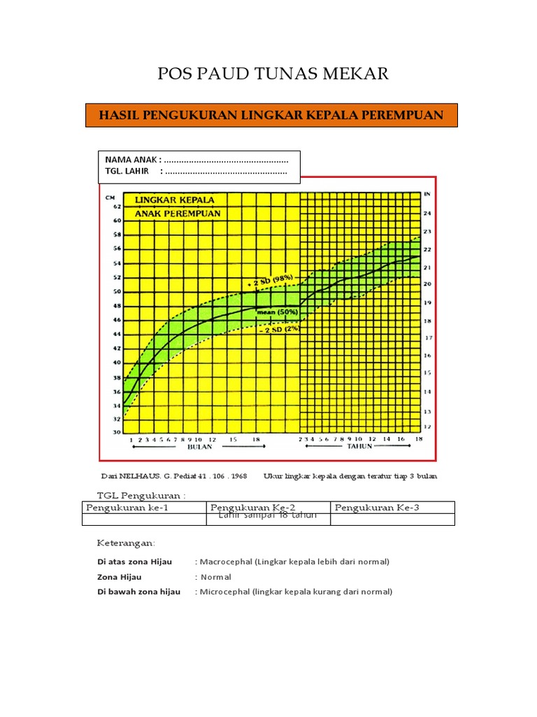 Format Grafik Lingkar Kepala | PDF