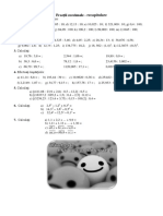 Fisa de Lucru PDF