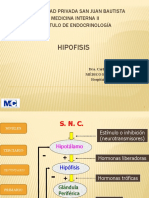 Neurohipofisis