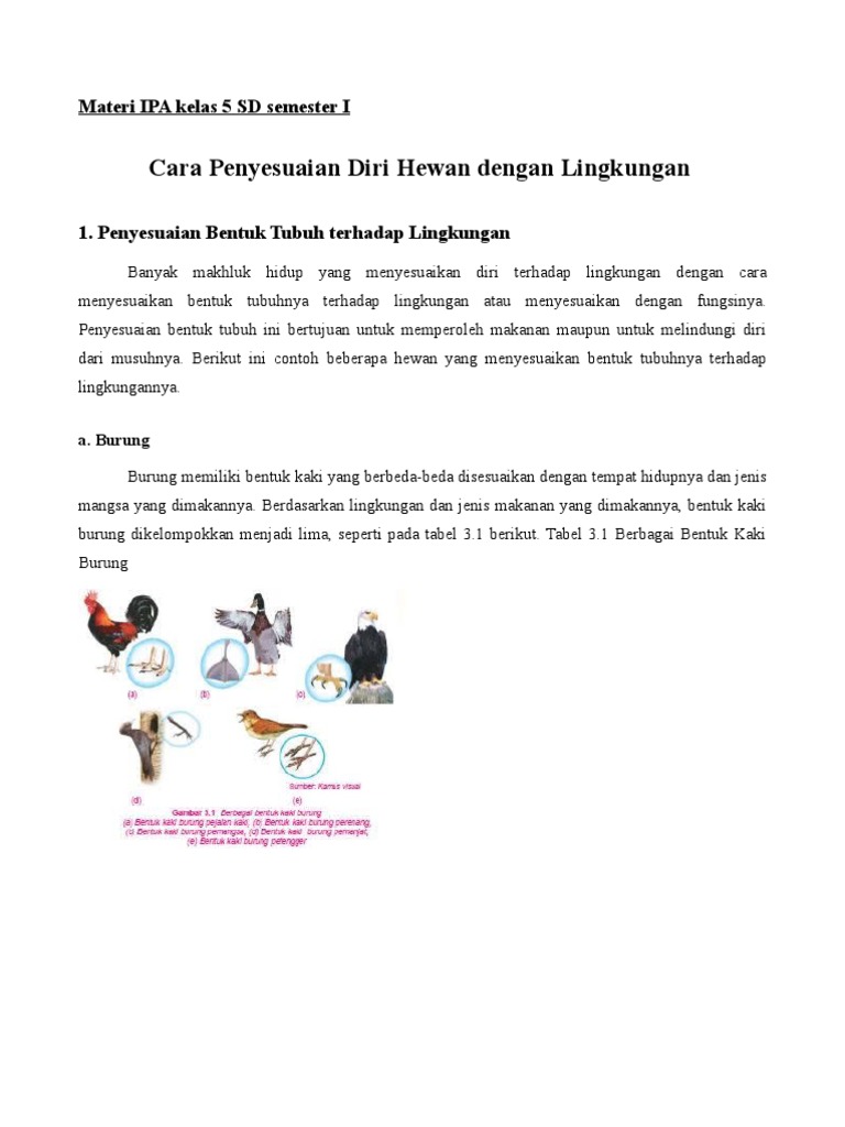 Materi Ipa Kelas 5 Semester I Pdf