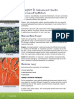 FCOC-growers-guide-Chapter-9-Environmental-Disorders.pdf