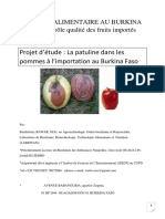 Projet D'étude La Patuline Dans Les Pommes À L'importation Au Burkina Faso Barthélemy BAWAR PDF