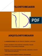 Anquilostomiasis 1