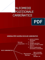 Generalitati Roci Carbonatice