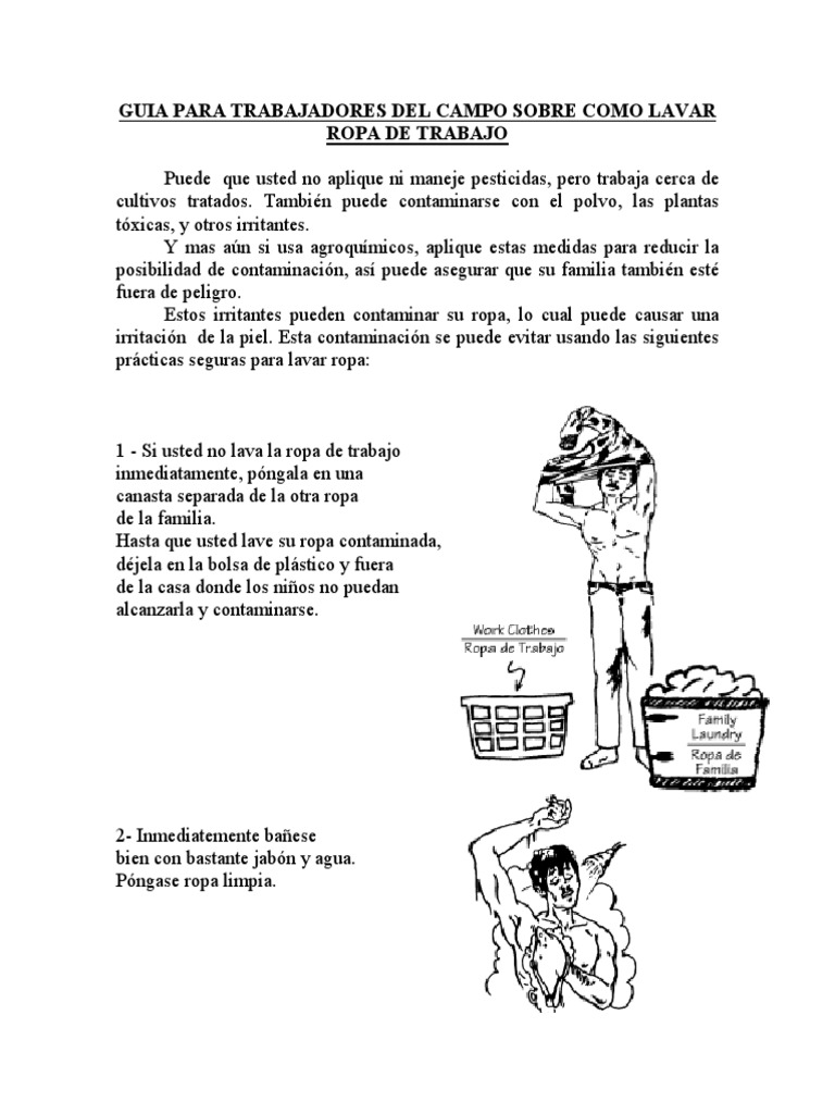 Como Lavar La Ropa | PDF