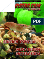 Gambas - Manual de Crianza PDF