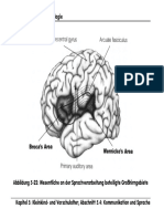 Gehirn_Sprachverarbeitung_abb_5-22